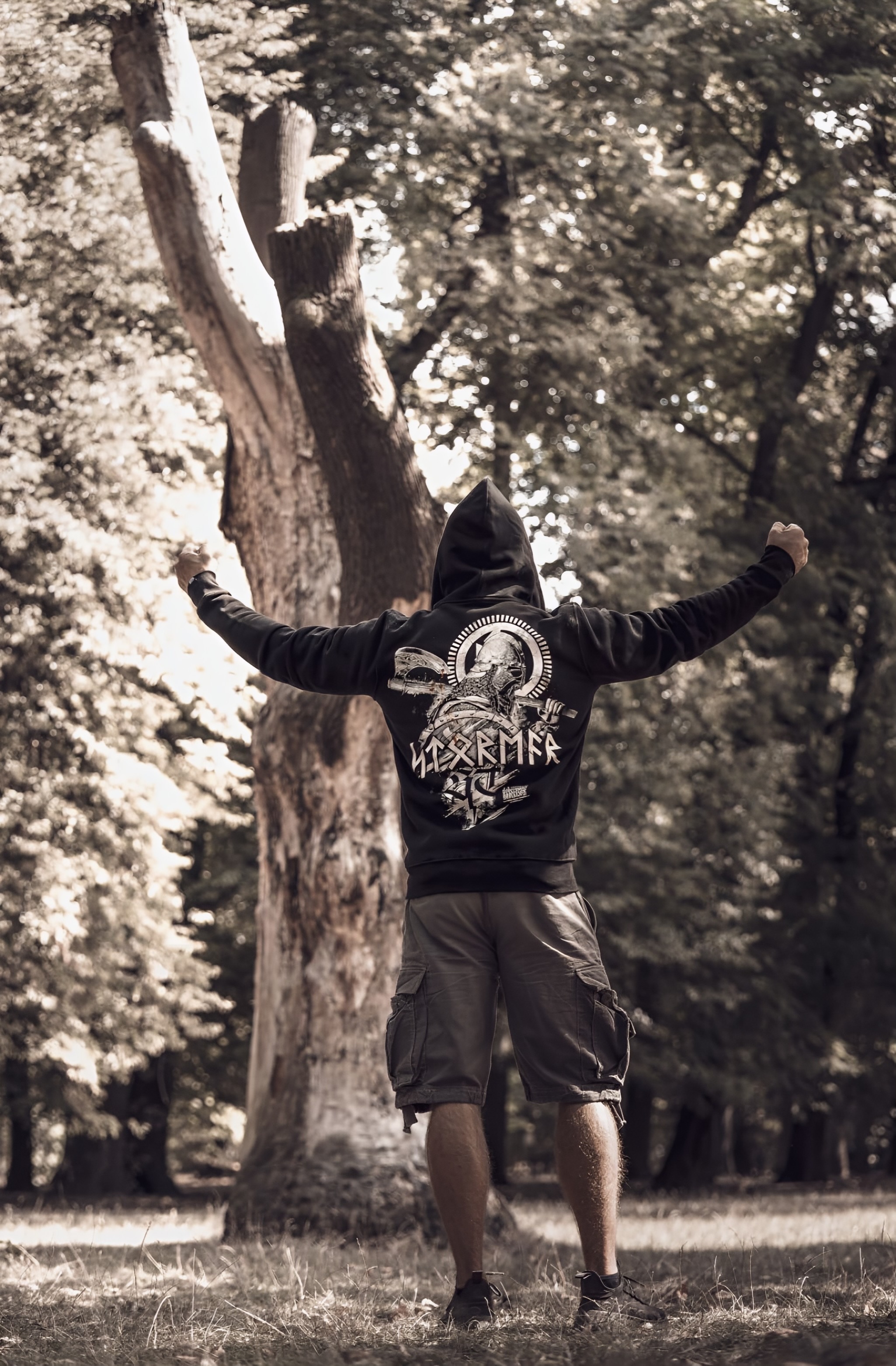 Dobermans45